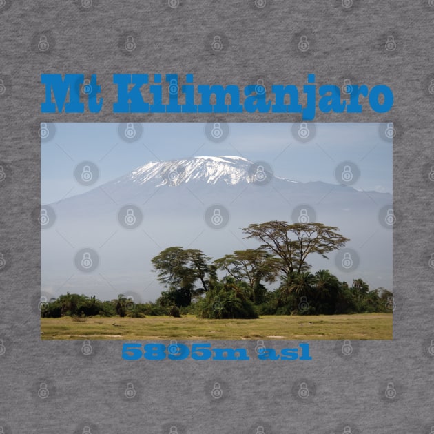 Mt Kilimanjaro by Nicomaja